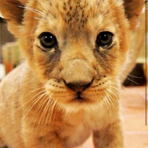 Meet your Posher, Jason - Picture 1 of 1